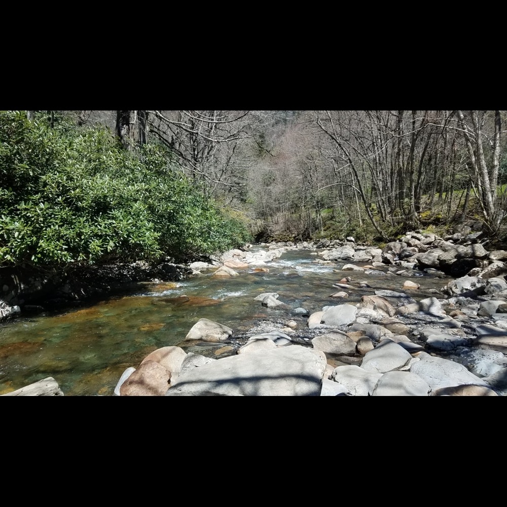 Meet your Posher, Charles